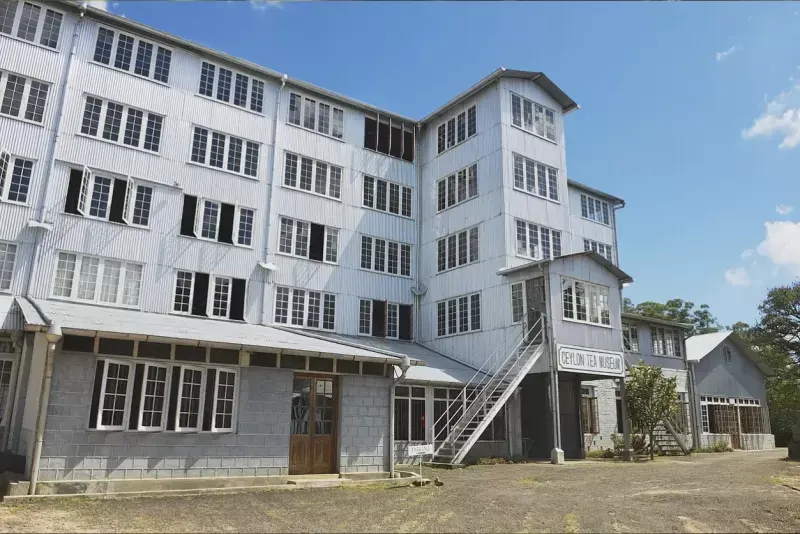 Trip To Sri lanka: Tea Trails